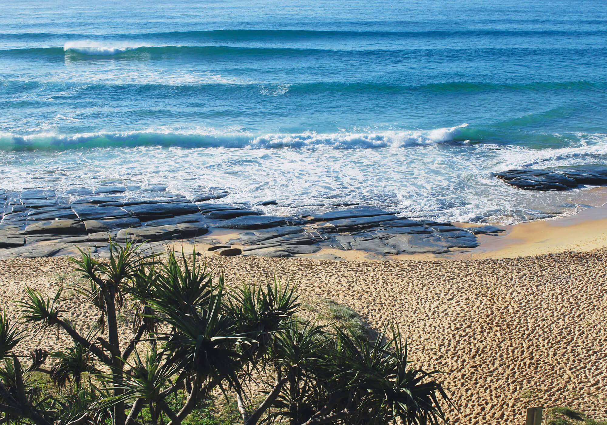 Your Employment Solutions Beach Scene Sunshine Coast Disability Employment Support